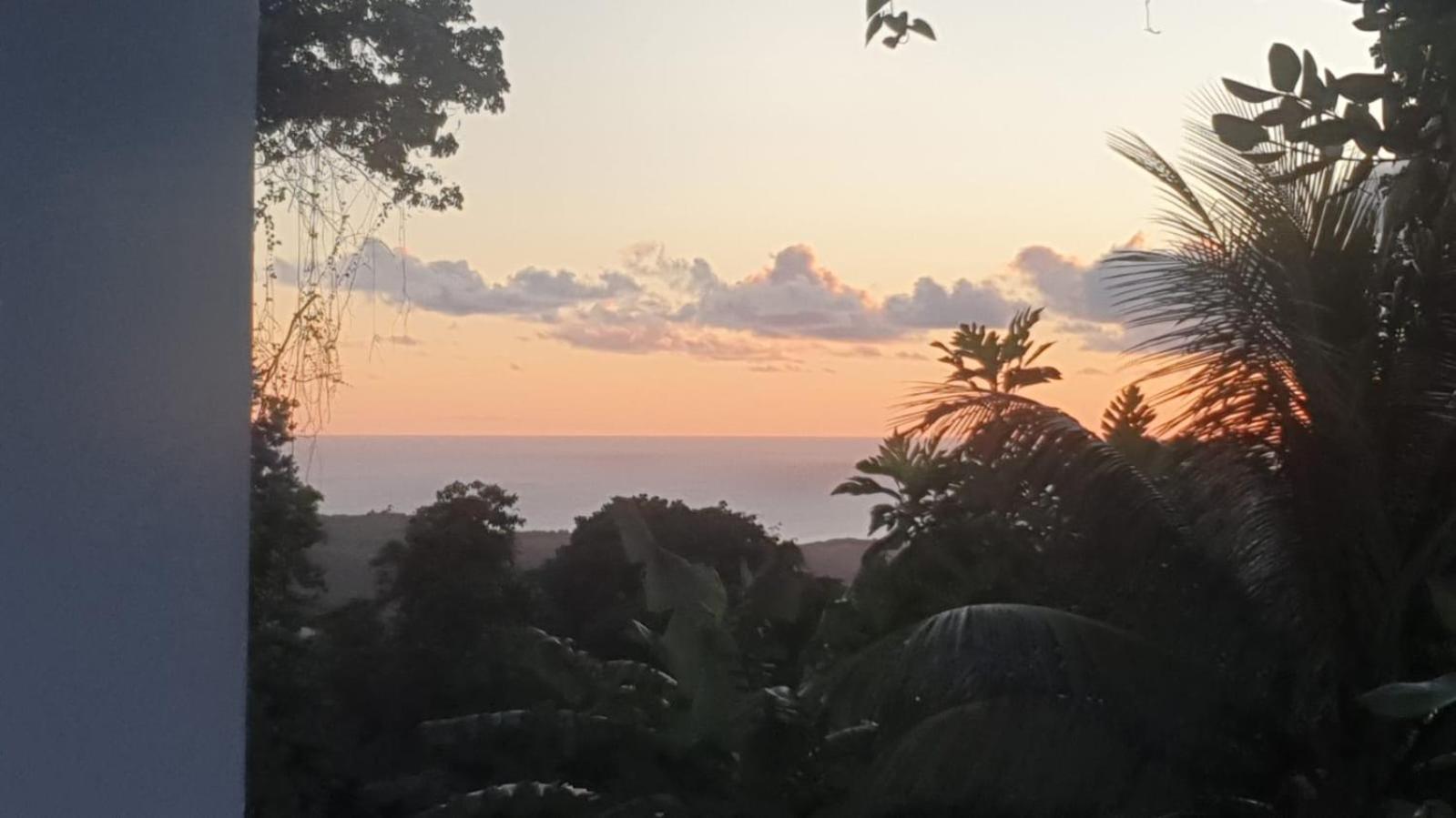 Villa Les Mahoganys Riviere-Salee Экстерьер фото