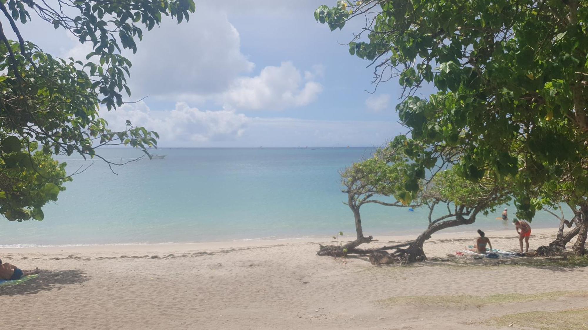 Villa Les Mahoganys Riviere-Salee Экстерьер фото